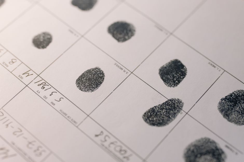 Spectroscopic Fingerprinting of Trapiche Emeralds: A Guide to Identifying Fluid Inclusions and Growth Patterns