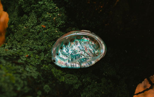 How Natural Pearls Create Iridescence: The Science of Orient Explained for Beginners