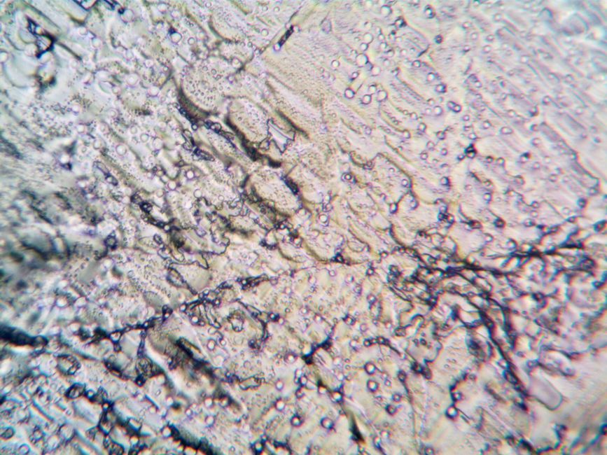 What Microscopy of Selenite Can and Cannot Prove About Its Origin
