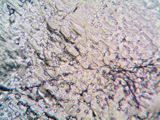 Reading Spodumene Inclusions: What Microscopy Can and Cannot Prove