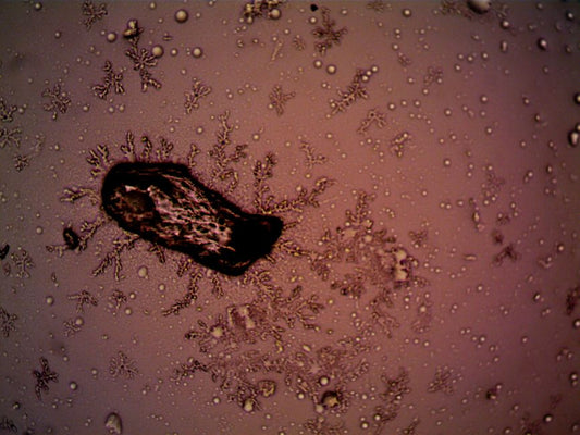 Hackmanite's Reversible Color: A Microscopic View of Tenebrescence