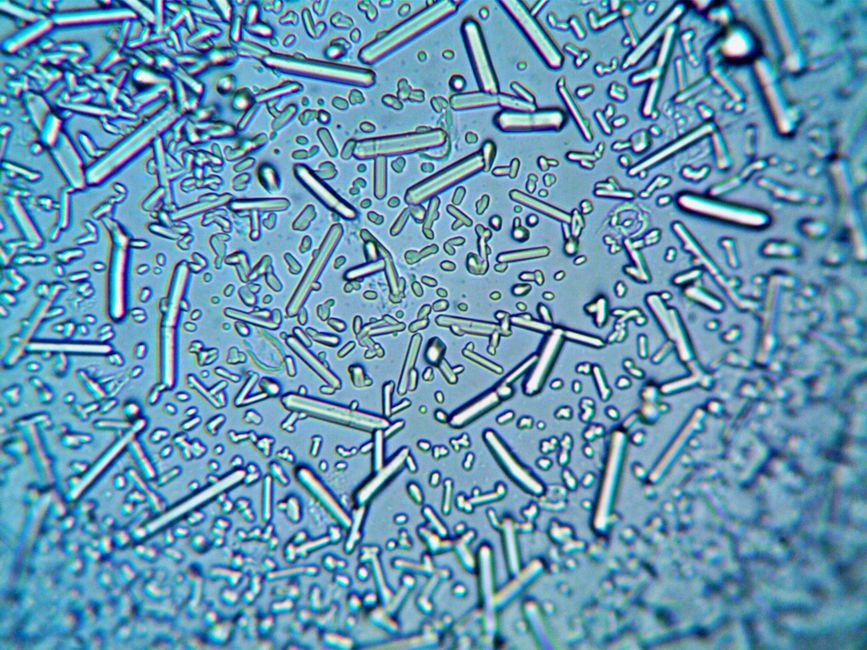 The Star Ruby: A Case Study in Asterism and Trace Element Chemistry