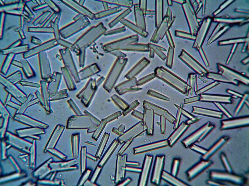 Chrysoberyl Cat's Eye: The Science of Chatoyancy, Crystal Structure, and Optical Phenomena