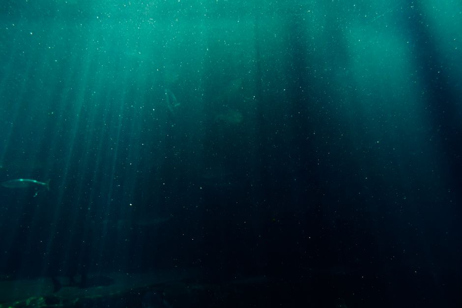 Stone of the Sea Roads: Pounamu and Maritime Exchange in the Māori World