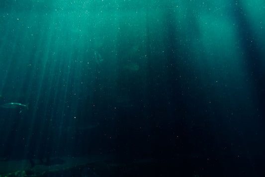 Stone of the Sea Roads: Pounamu and Maritime Exchange in the Māori World