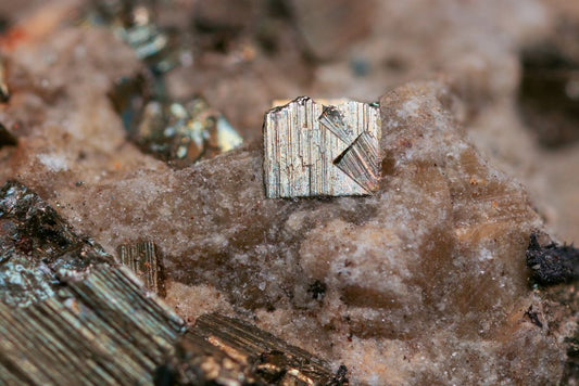 Shungite Varieties: Distinguishing Types I, II, and III from the Zazhoginskoye Deposit